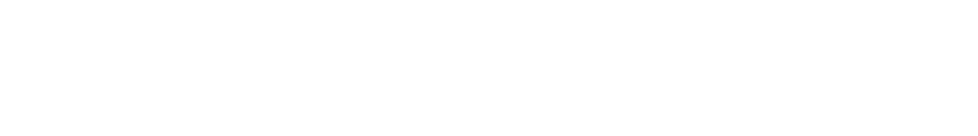 Logo LUFF